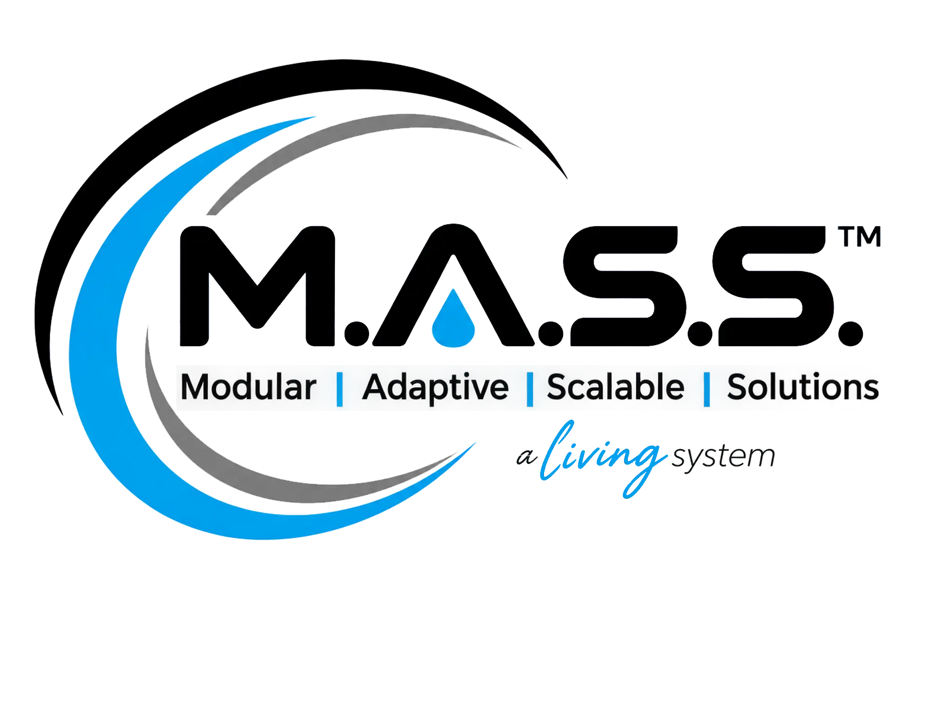 M.A.S.S.™ — Modular Adaptive Scalable Solutions — a living system